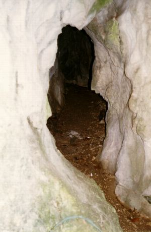 Blick in die Spitzbubenhöhle
